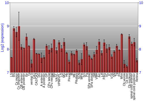 Expression graph