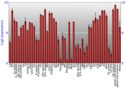 Expression graph