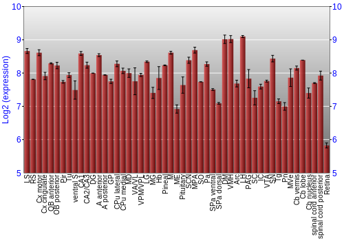 Expression graph
