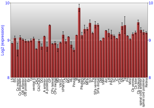 Expression graph