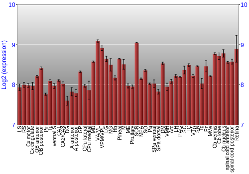 Expression graph