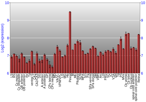 Expression graph