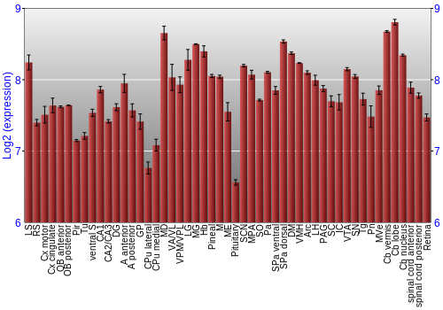 Expression graph