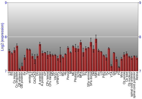 Expression graph