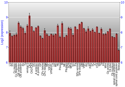 Expression graph