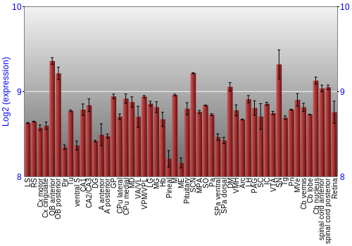 Expression graph