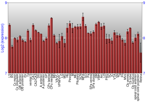 Expression graph