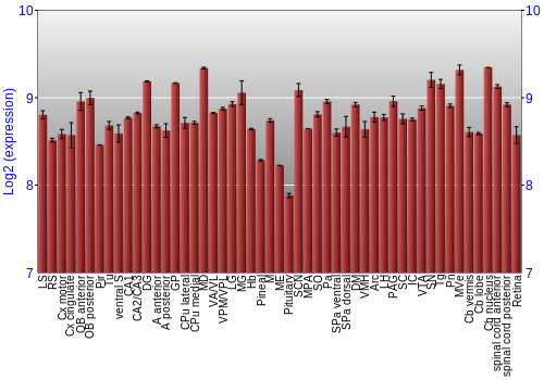 Expression graph