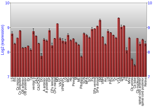 Expression graph
