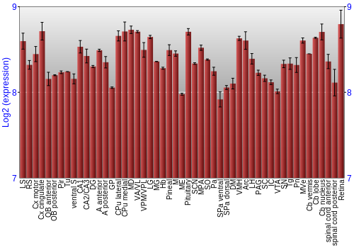 Expression graph