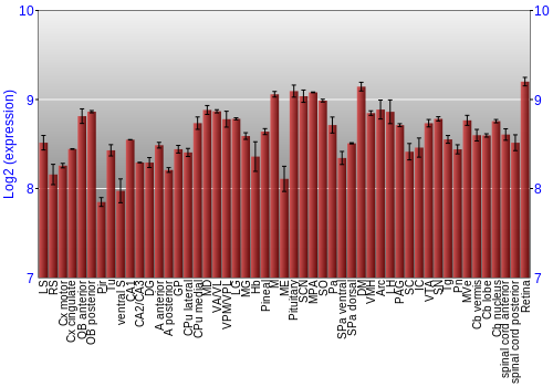 Expression graph