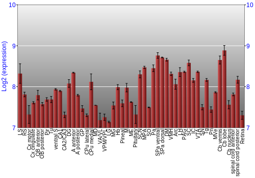 Expression graph