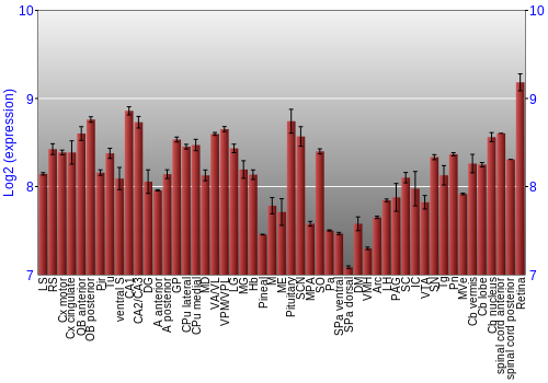 Expression graph