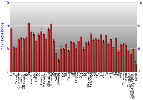 Expression graph