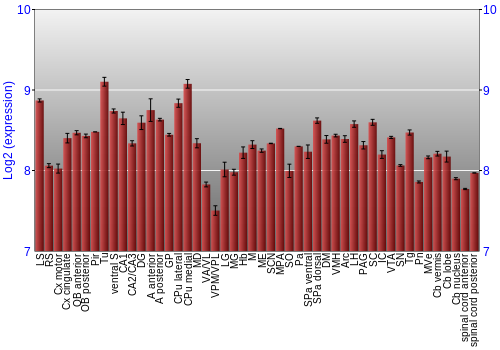 Multi-state expression graph