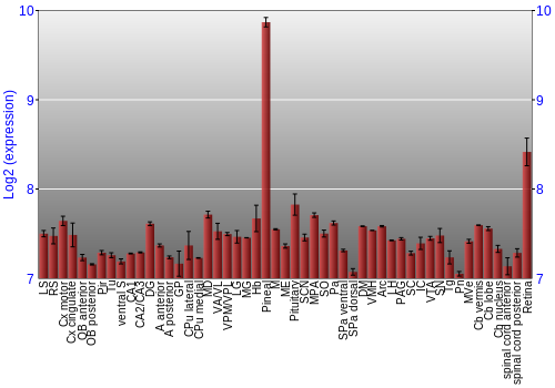 Expression graph