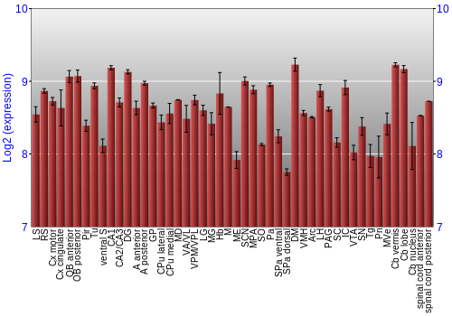 Multi-state expression graph