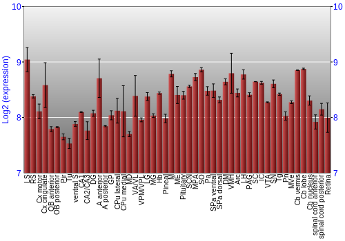 Expression graph