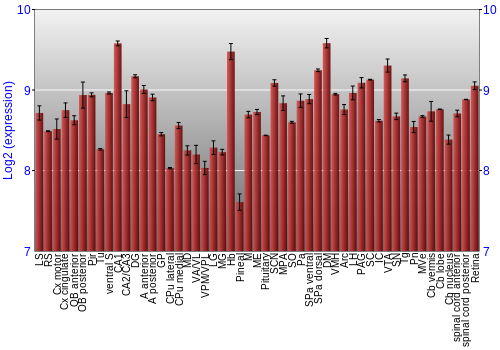 Expression graph