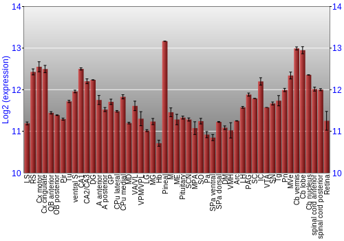 Expression graph