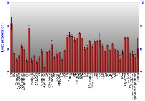 Expression graph