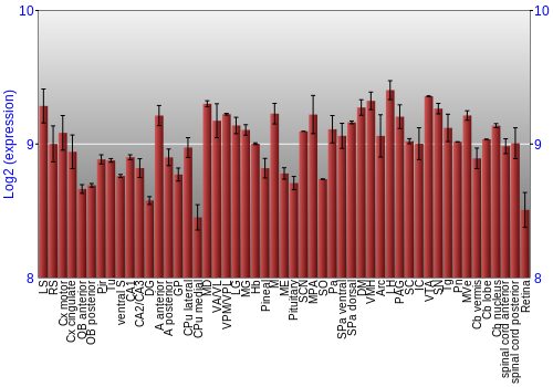 Expression graph