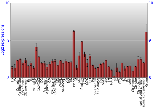 Expression graph