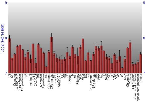 Expression graph