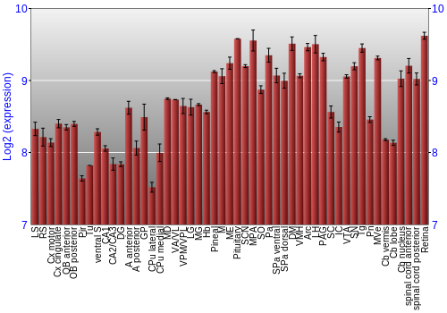 Expression graph