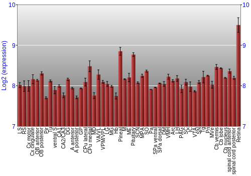 Expression graph