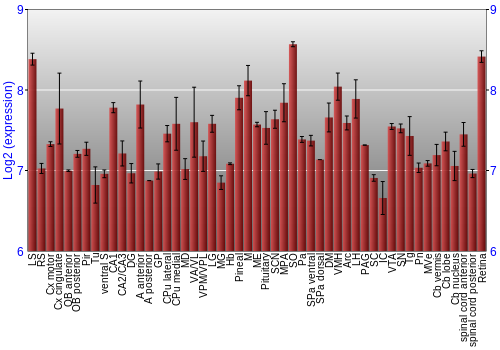Expression graph