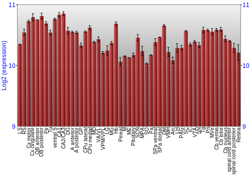 Expression graph