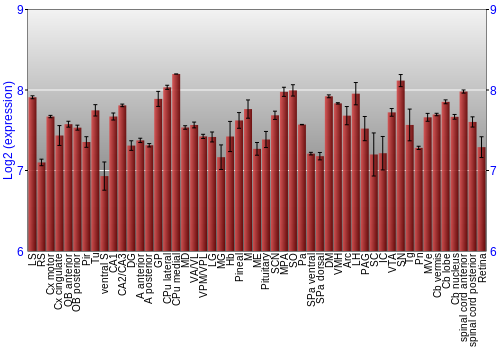Expression graph