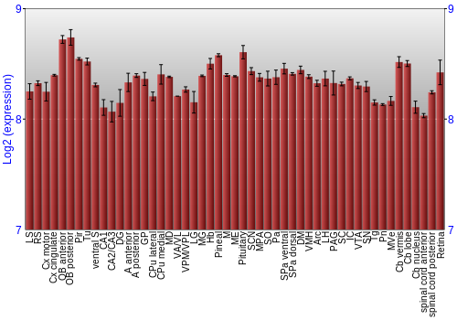 Expression graph