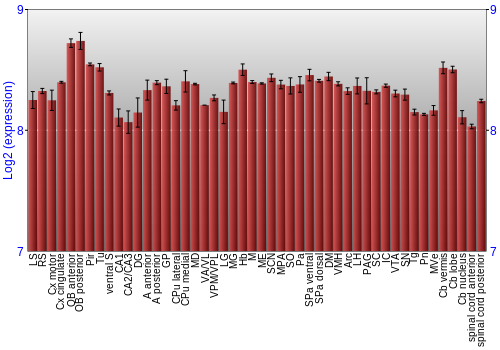 Multi-state expression graph