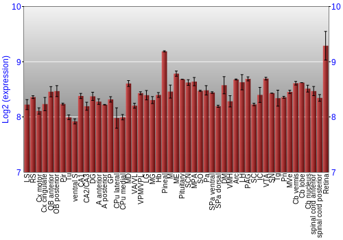 Expression graph