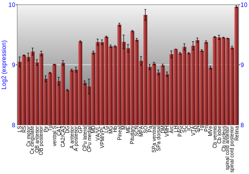 Expression graph