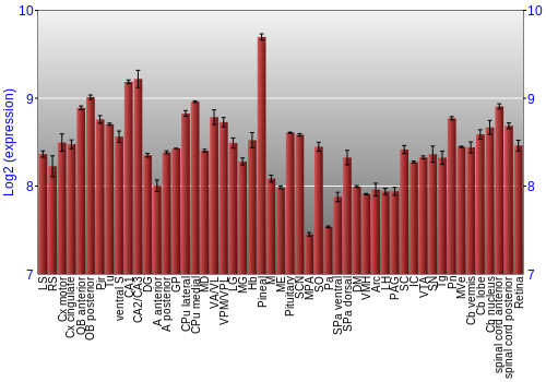 Expression graph