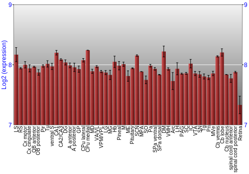 Expression graph