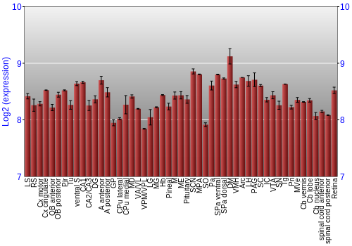 Expression graph
