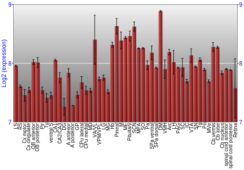 Expression graph