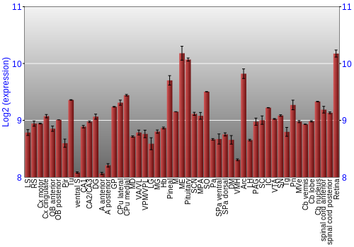 Expression graph