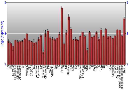 Expression graph