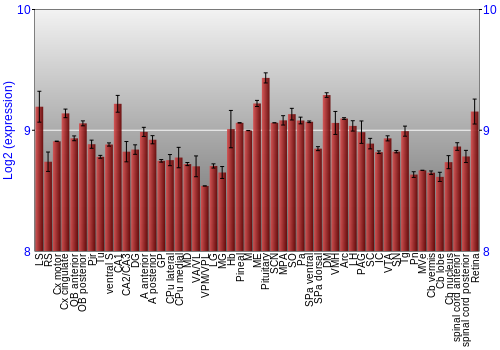 Expression graph