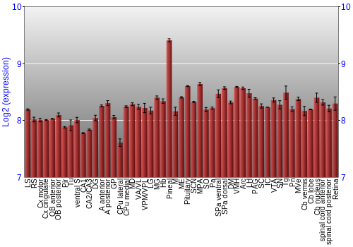 Expression graph