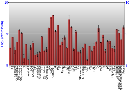 Expression graph