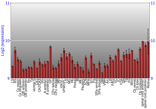 Expression graph