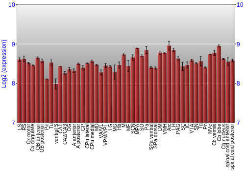Multi-state expression graph