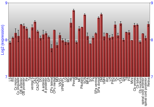 Expression graph