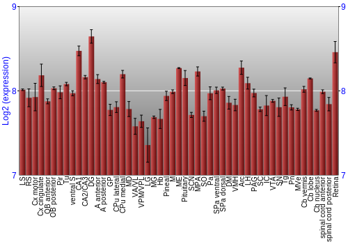 Expression graph